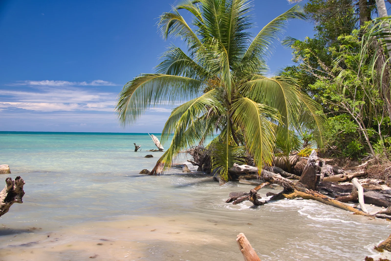 Cultura afrocaribeña, canales, cacao y Caribe Sur
