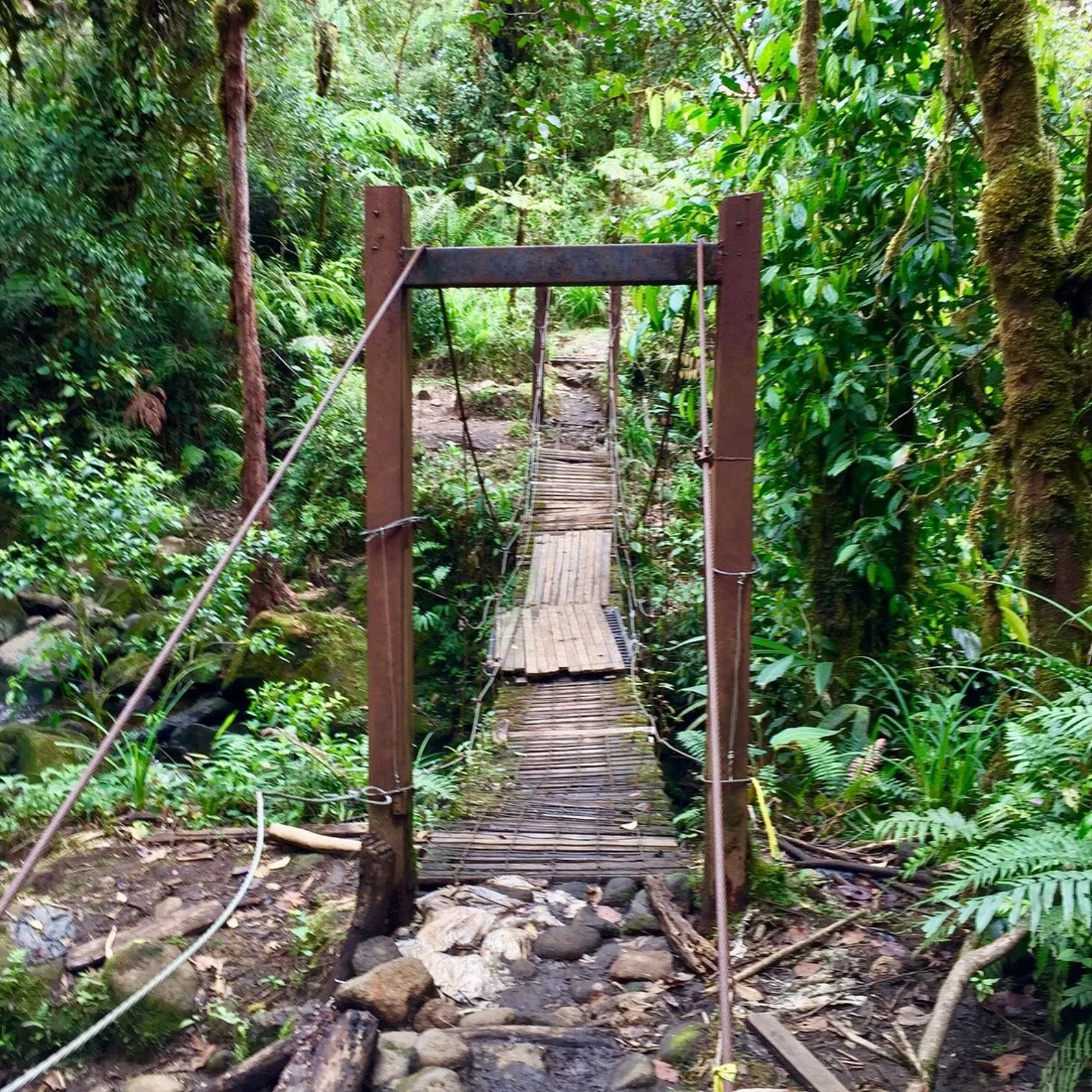Refugio Cerro Dantas, Costa Rica