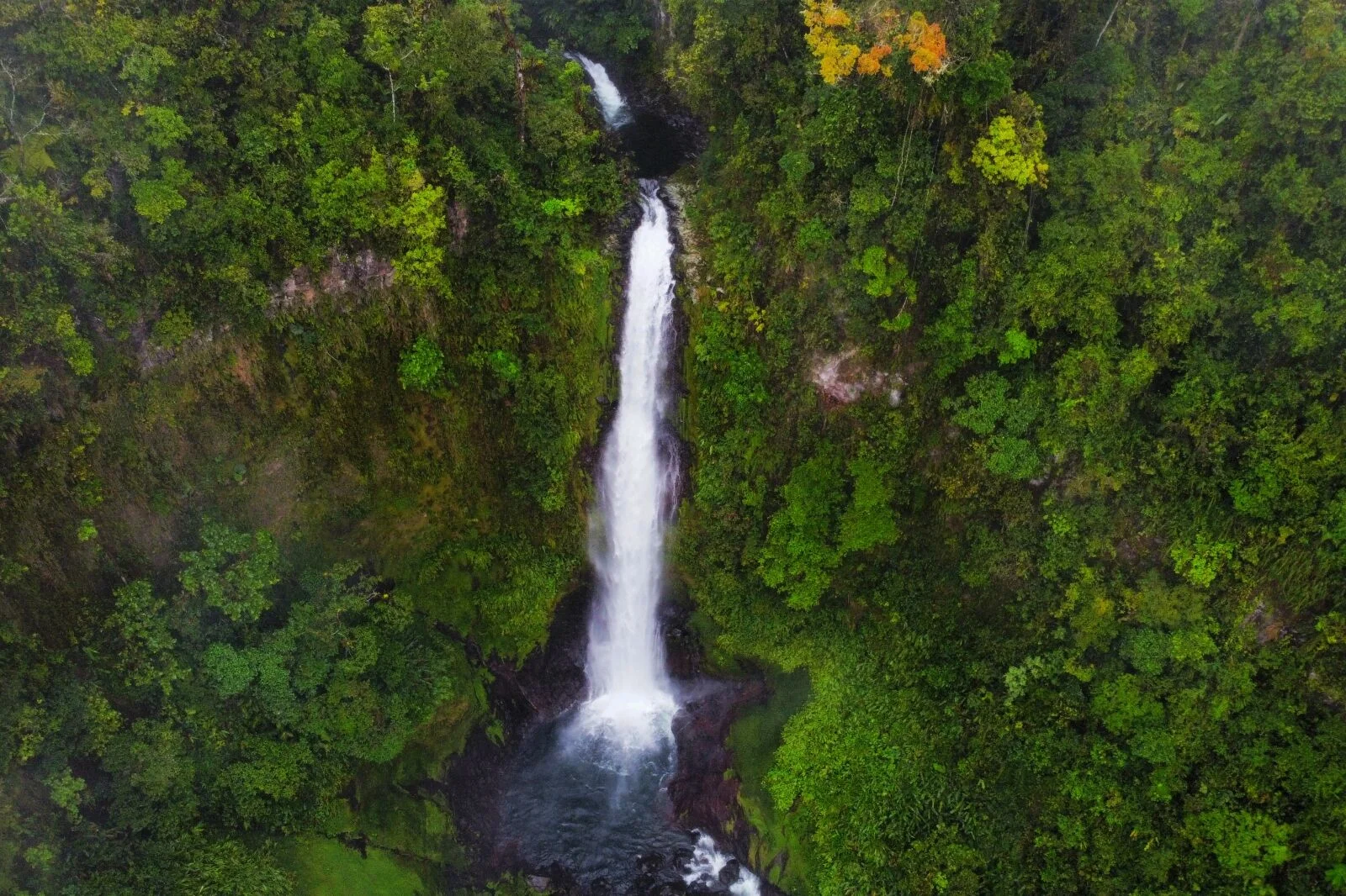 Catarata de Aquiares, Costa Rica