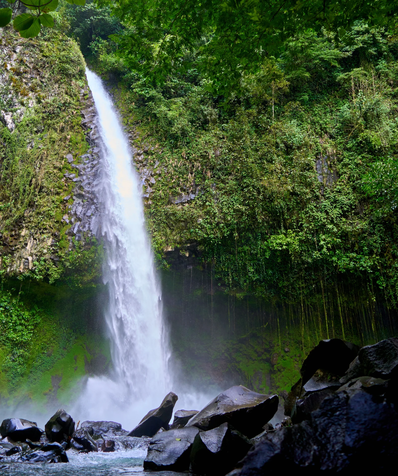 Catarata La Fortuna, Costa Rica