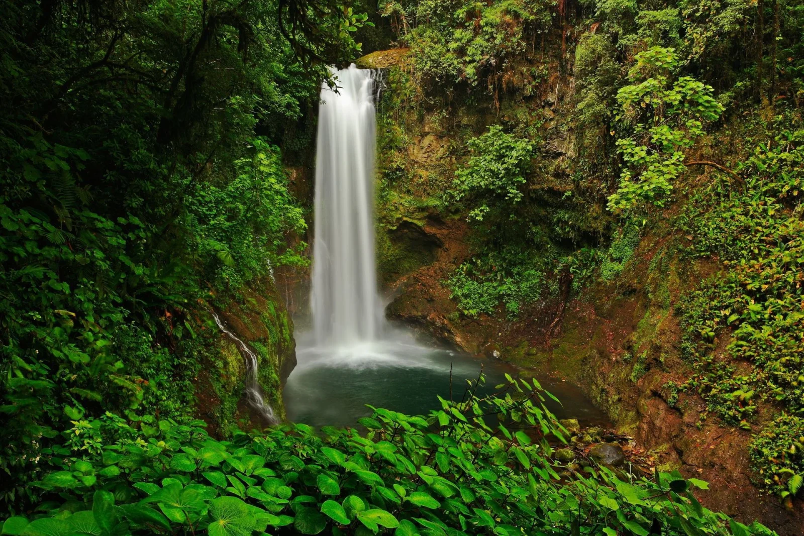 Cataratas de La Paz, Costa Rica