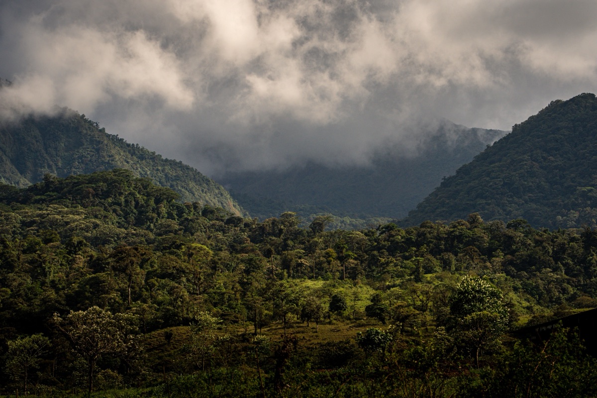 Montañas verdes de Costa Rica