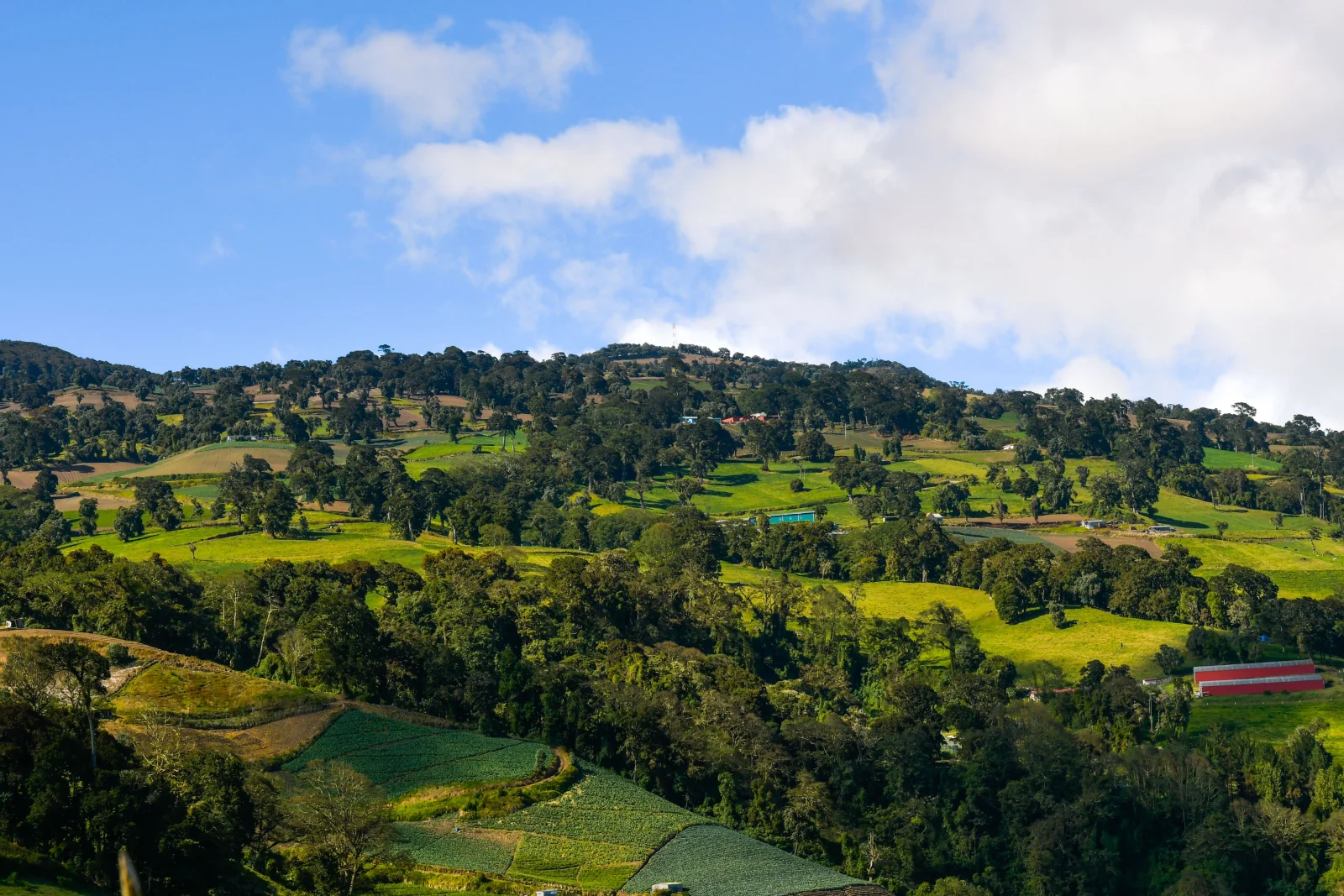 Montañas verdes de Costa Rica