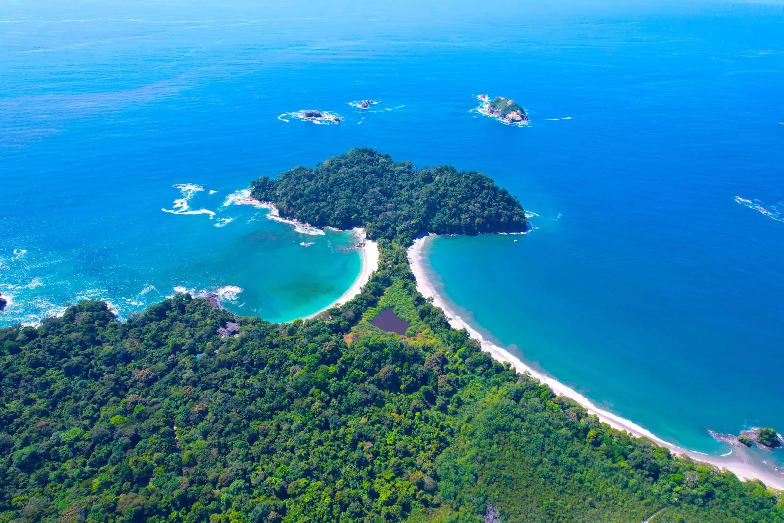 Bosque protegido en Costa Rica