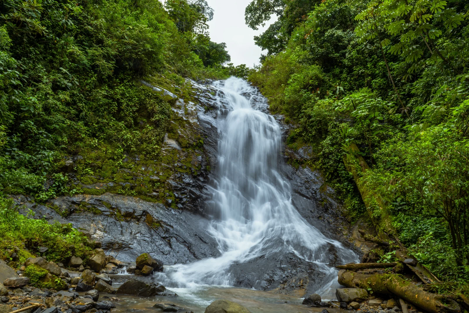 Catarata rodeada de bosque